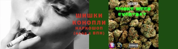 молекула духа Беломорск