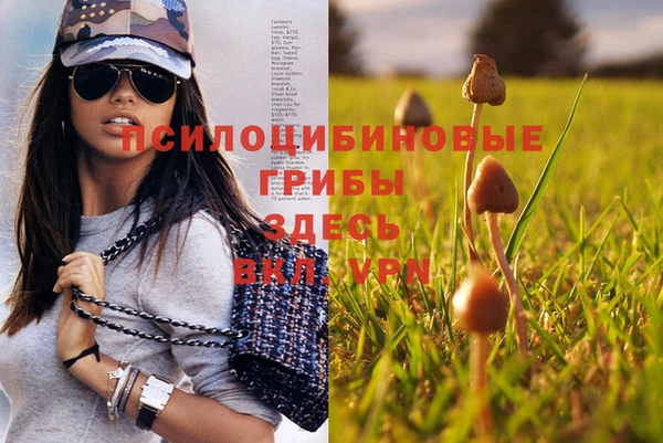 мяу мяу мука Богданович