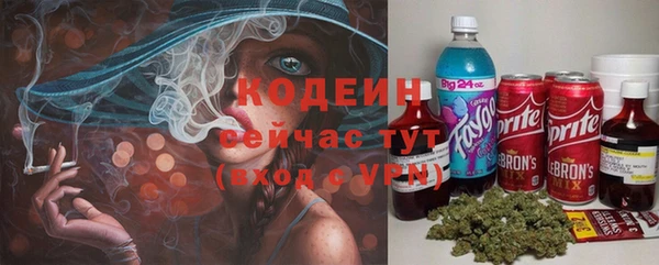 apvp Белокуриха
